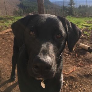 Meet your Posher, Charlotte